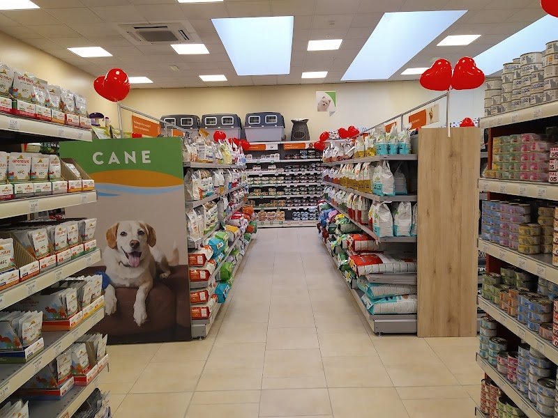 L'Isola dei Tesori - Foto 6