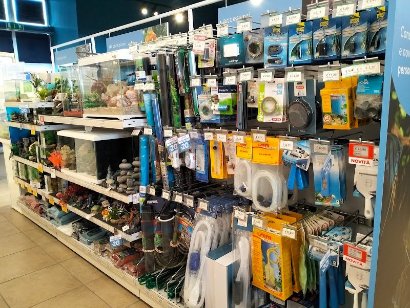 L'Isola dei Tesori - Foto 3