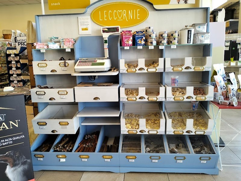 L'Isola dei Tesori - Foto 4