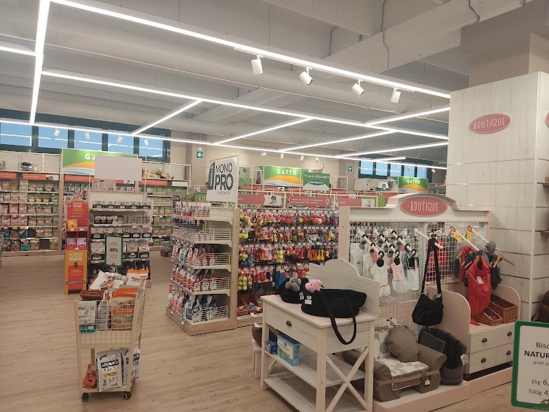 L'Isola dei Tesori - Foto 5