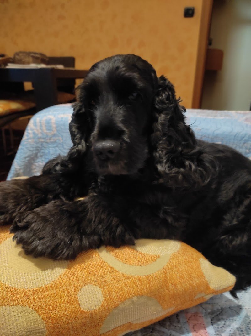 L'Isola dei Tesori - Foto 4