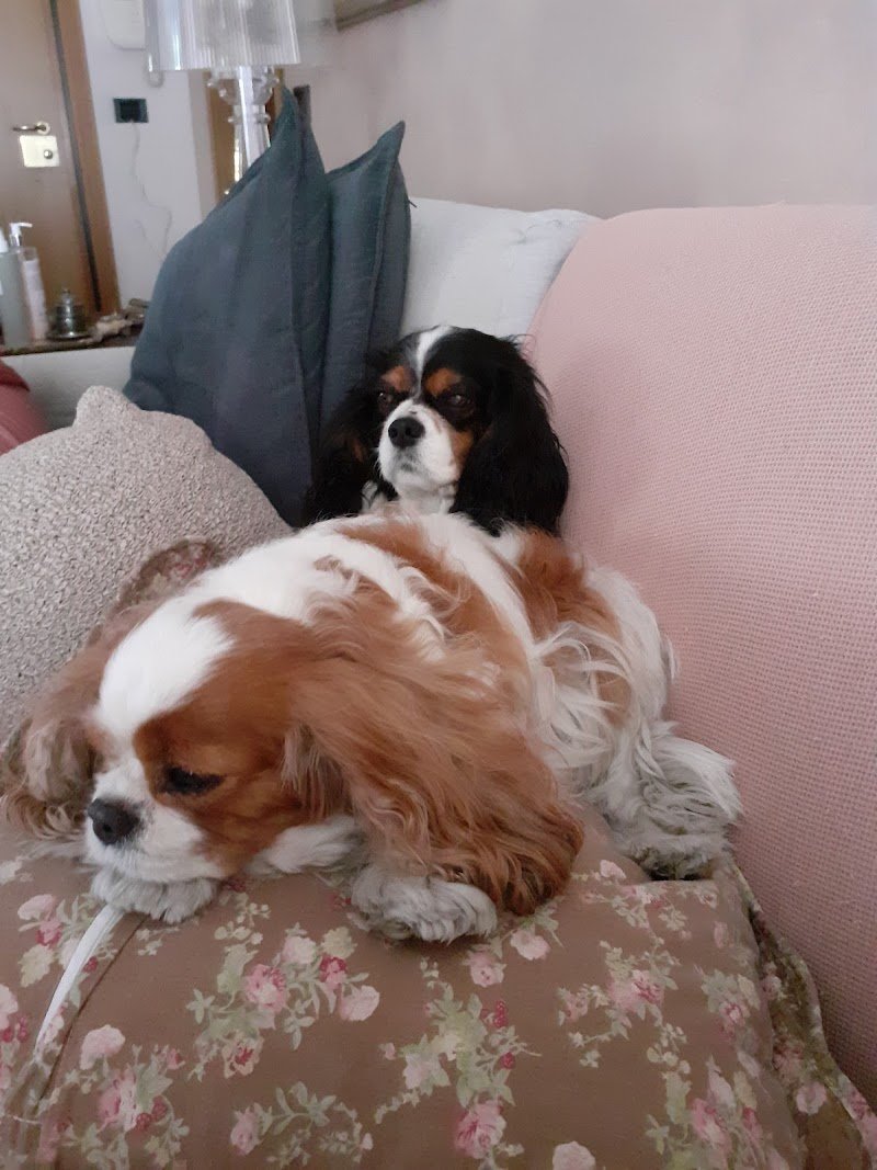 L'Isola dei Tesori - Foto 6