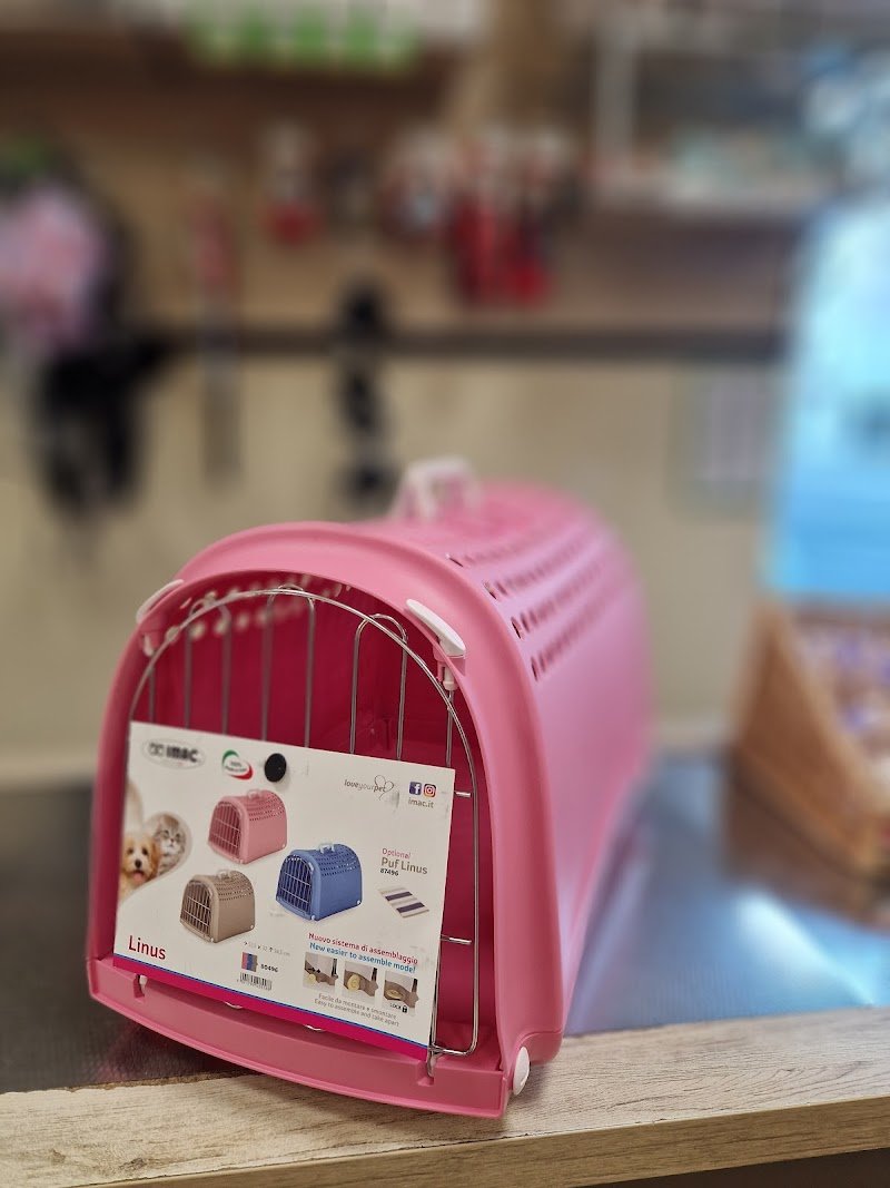 L'Isola dei Tesori - Foto 4