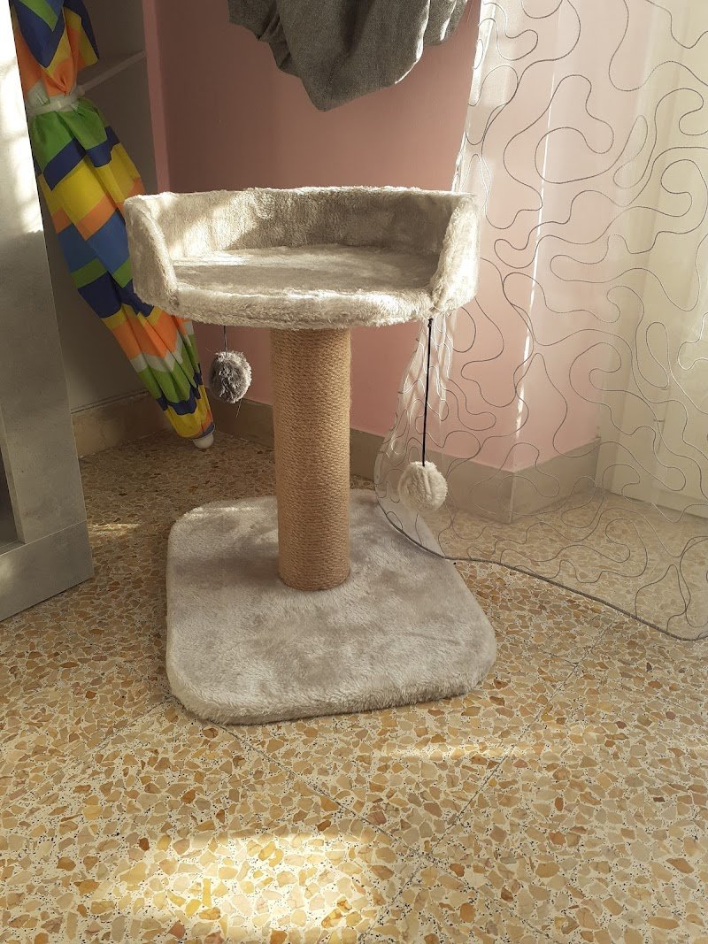 L'Isola dei Tesori - Foto 6