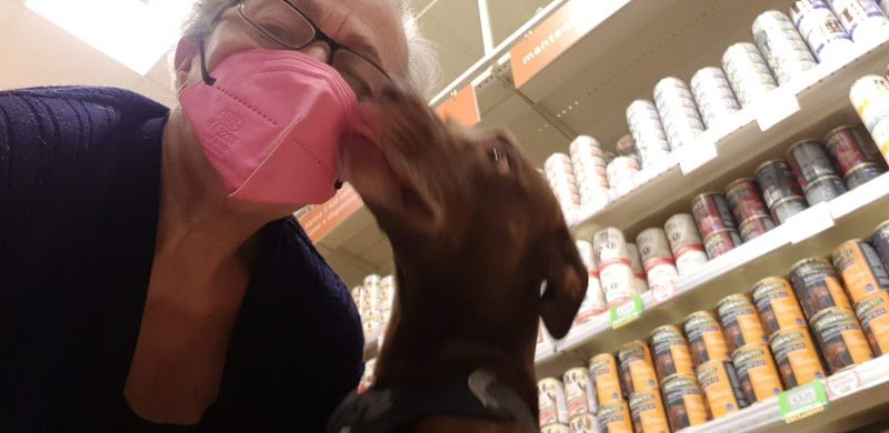 L'Isola dei Tesori - Foto 3