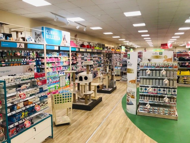 L'Isola dei Tesori - Foto 5