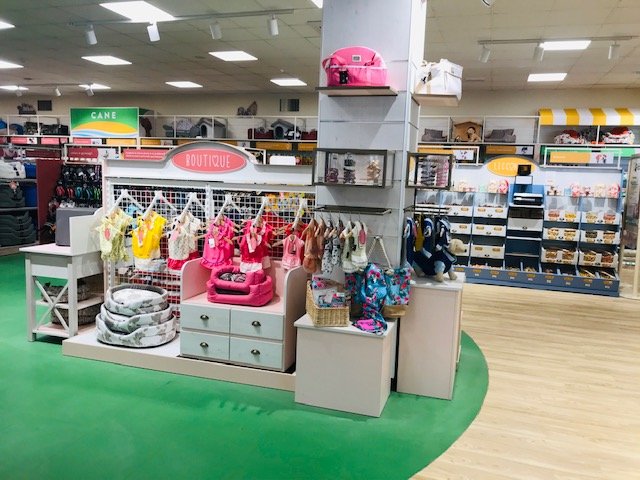 L'Isola dei Tesori - Foto 6