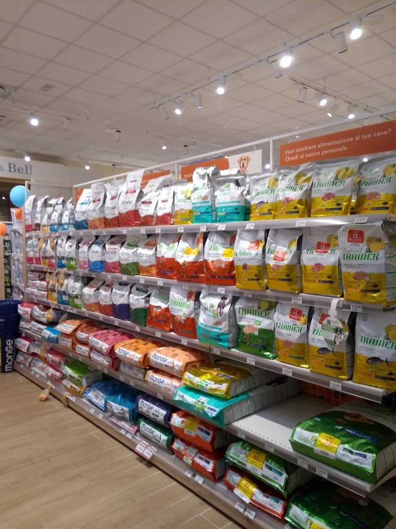 L'Isola dei Tesori - Foto 3