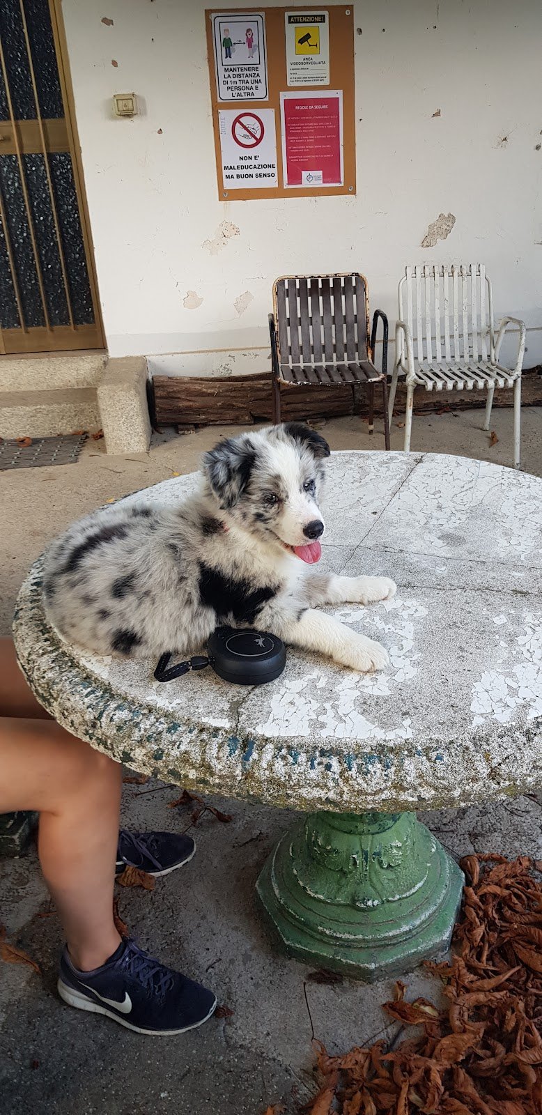 L'Isola dei Tesori - Foto 4