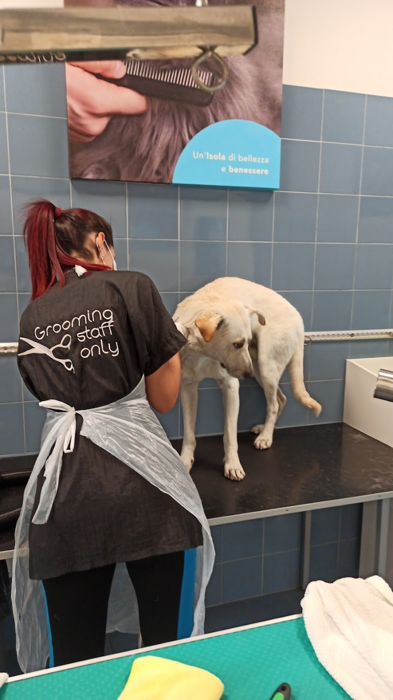 L'Isola dei Tesori - Foto 3