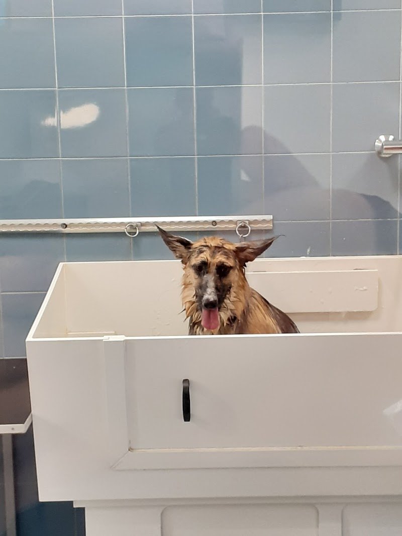 L'Isola dei Tesori - Foto 5