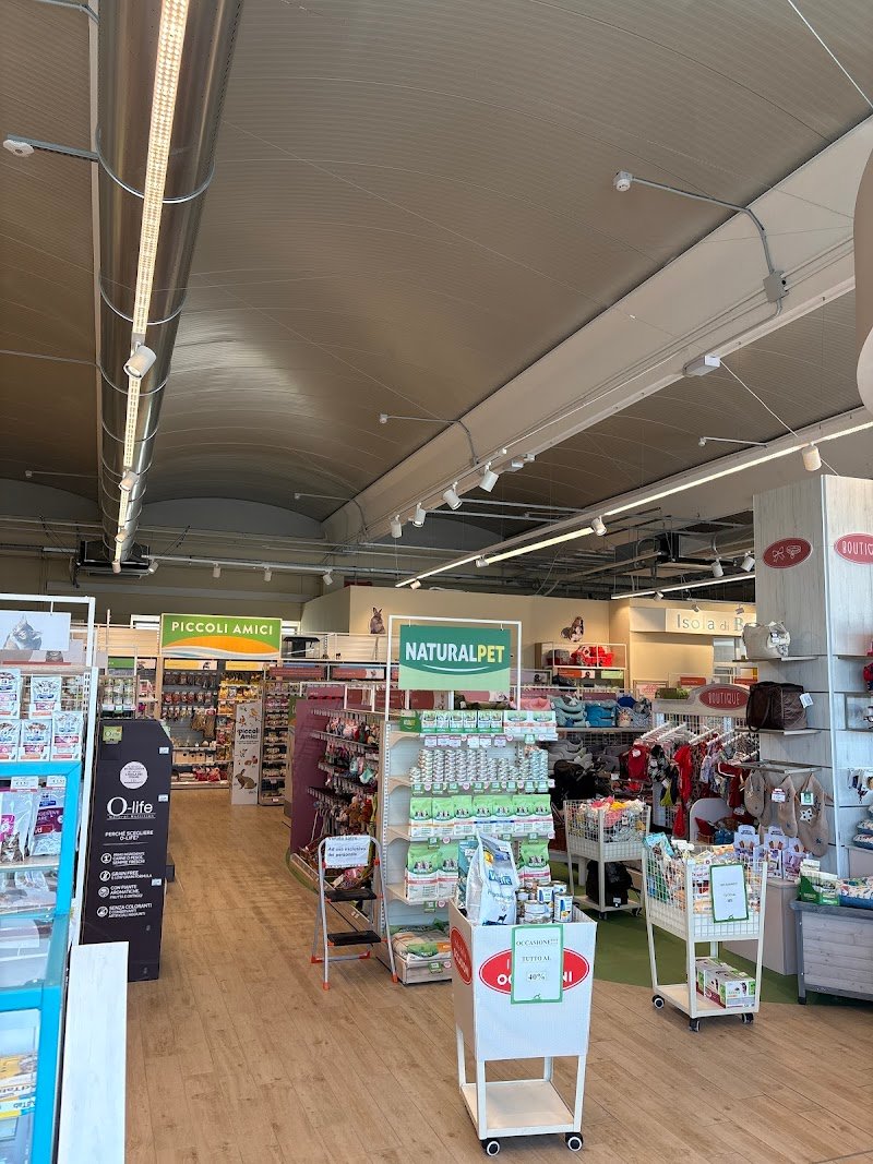 L'Isola dei Tesori - Foto 6