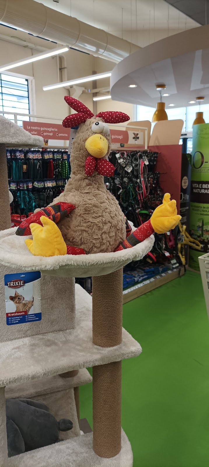 L'Isola dei Tesori - Foto 4