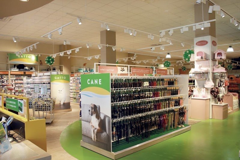 L'Isola dei Tesori - Foto 6