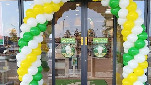 L'Isola dei Tesori - Foto 2