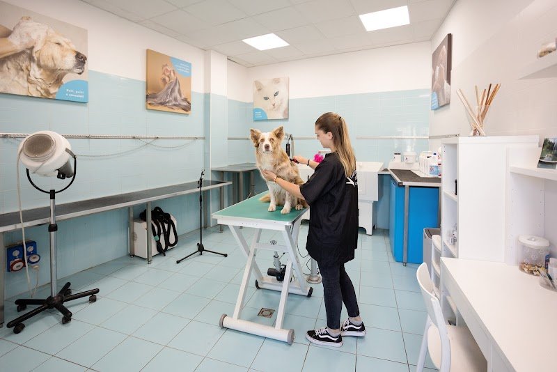 L'Isola dei Tesori - Foto 3