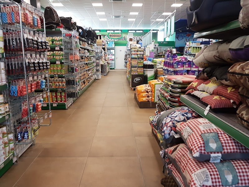 L'Isola dei Tesori - Foto 2