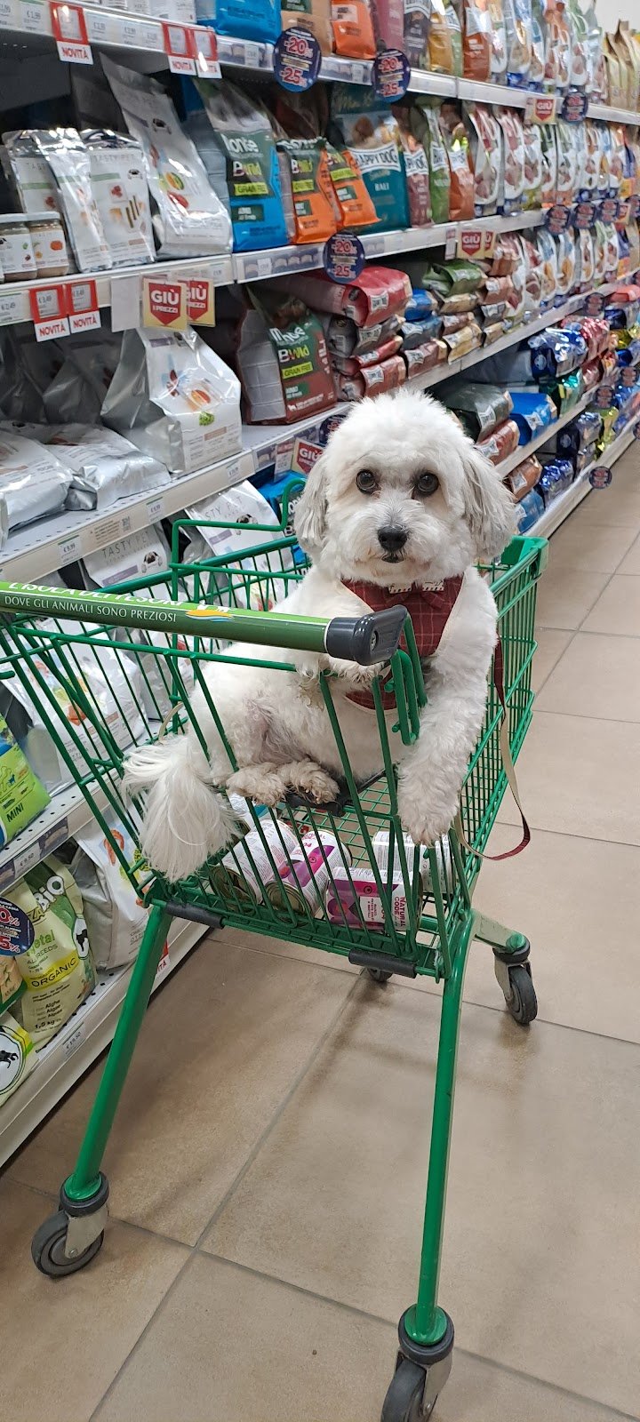 L'Isola dei Tesori - Foto 3