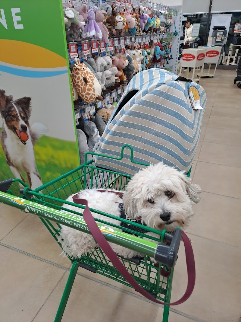 L'Isola dei Tesori - Foto 6