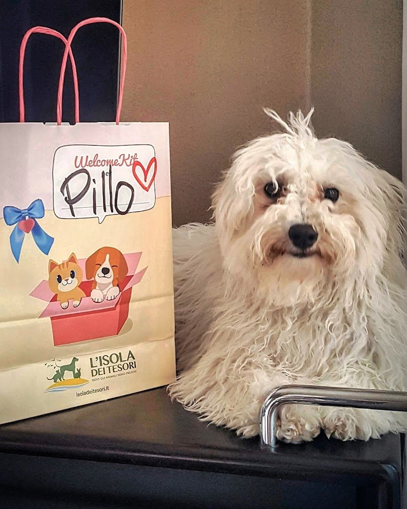 L'Isola dei Tesori - Foto 3