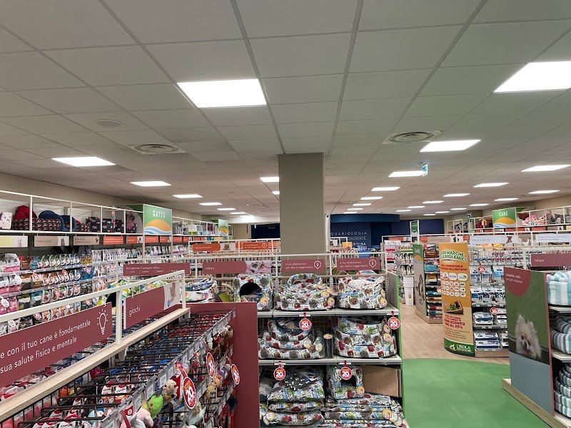 L'Isola dei Tesori - Foto 2