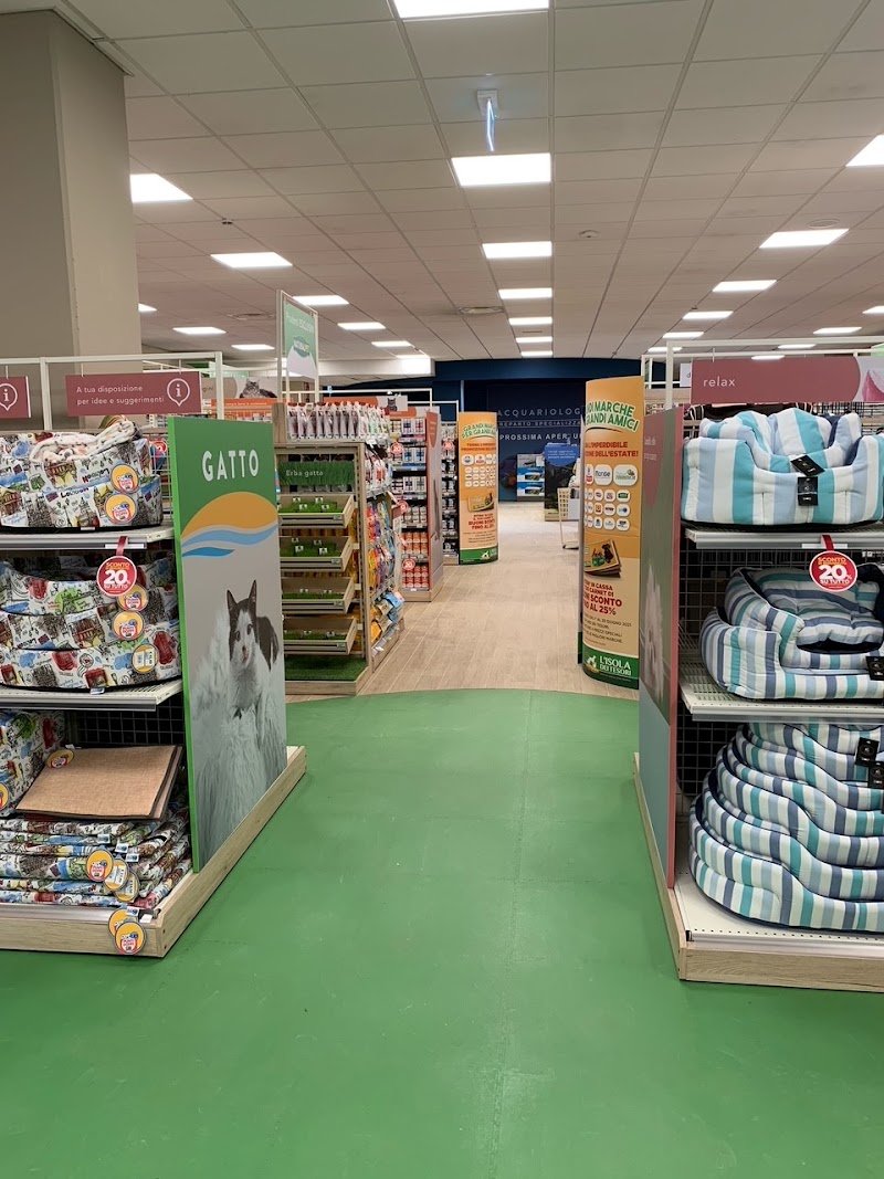 L'Isola dei Tesori - Foto 5