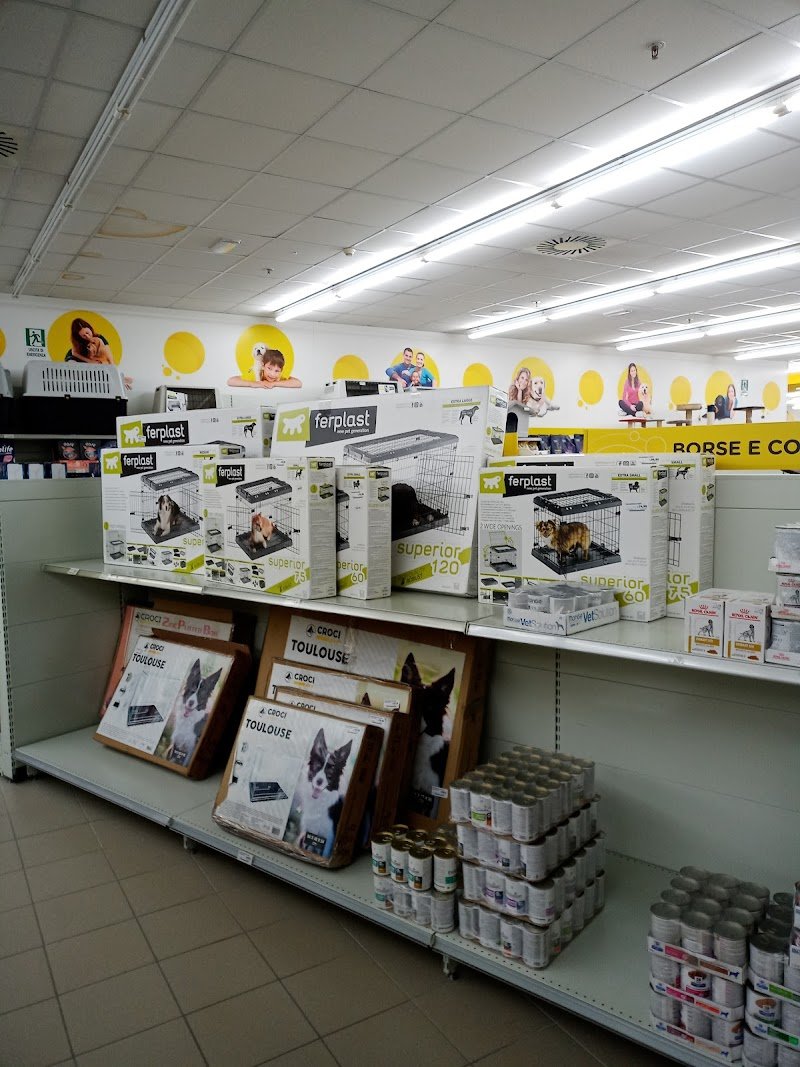 L'Isola dei Tesori - Foto 3