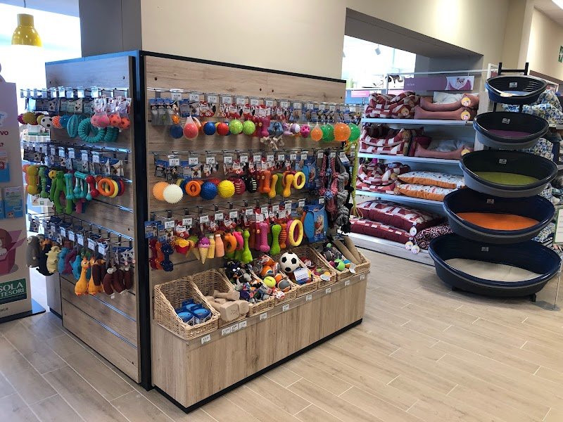 L'Isola dei Tesori - Foto 5