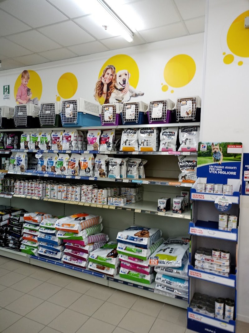 L'Isola dei Tesori - Foto 6