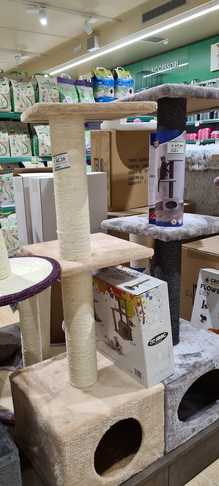 L'Isola dei Tesori - Foto 3