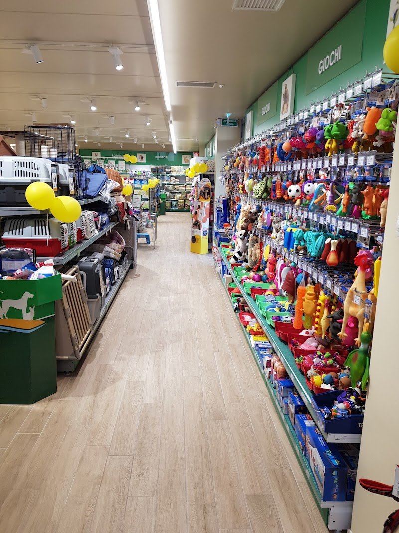 L'Isola dei Tesori - Foto 4