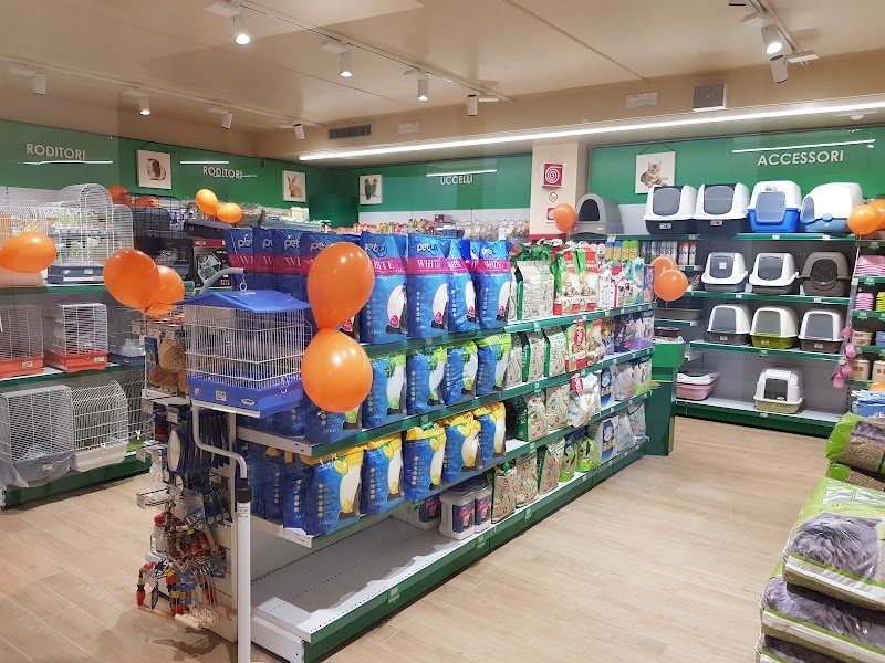 L'Isola dei Tesori - Foto 5