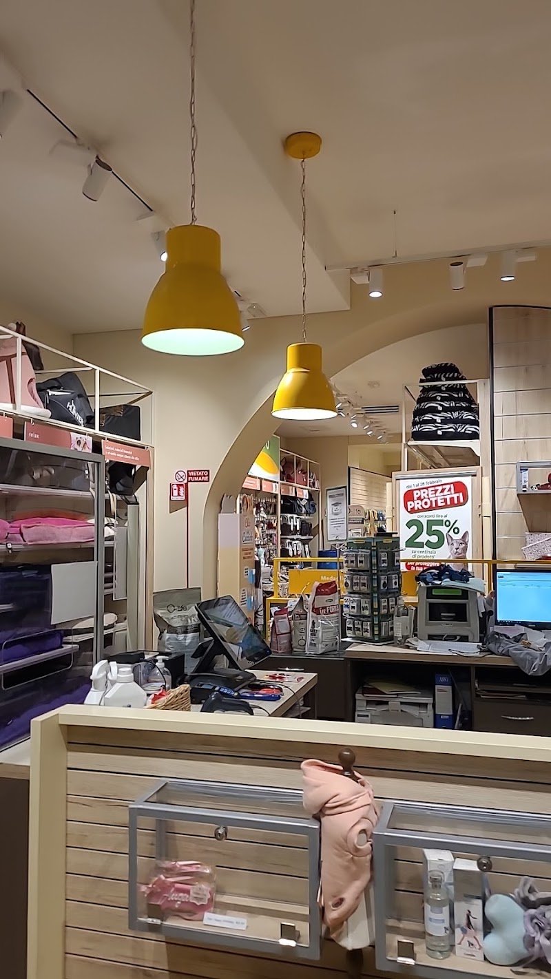 L'Isola dei Tesori - Foto 2