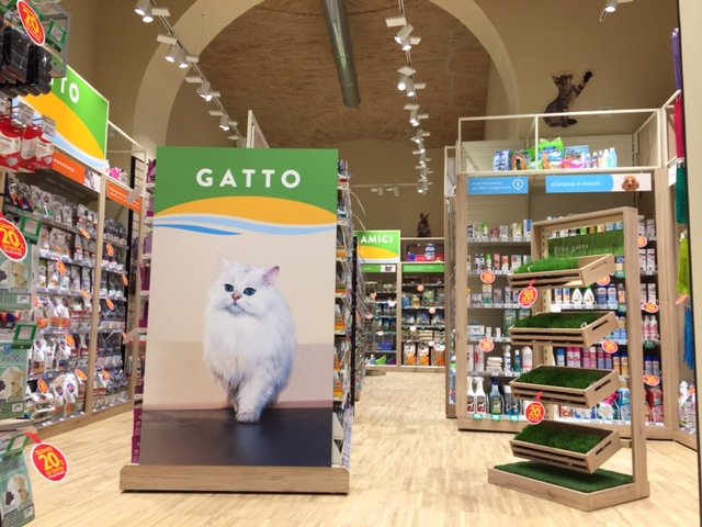 L'Isola dei Tesori - Foto 3