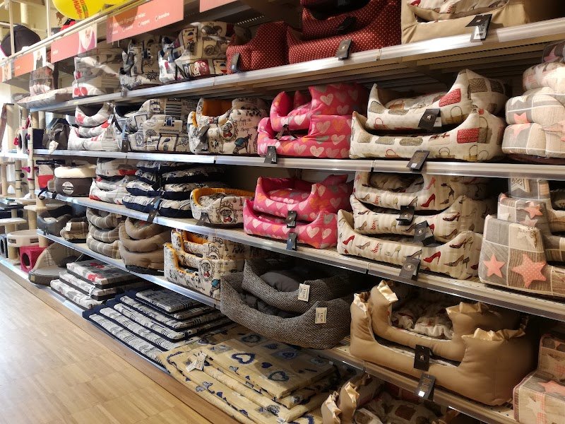 L'Isola dei Tesori - Foto 4