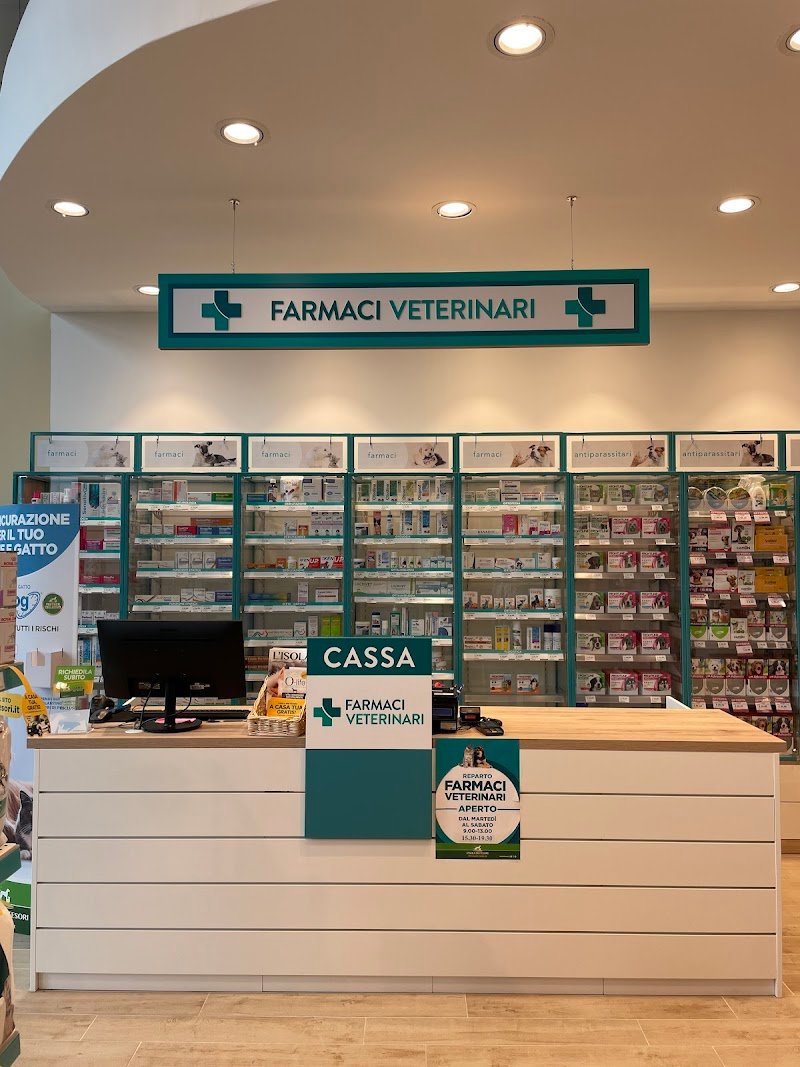 L'Isola dei Tesori - Foto 4