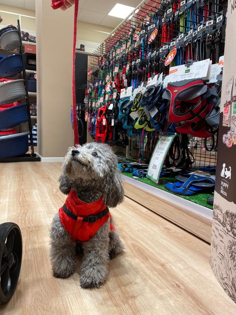 L'Isola dei Tesori - Foto 3