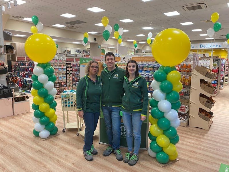 L'Isola dei Tesori - Foto 5