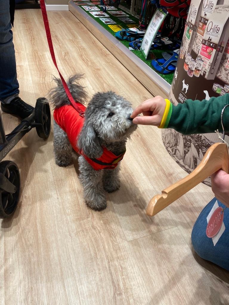 L'Isola dei Tesori - Foto 6