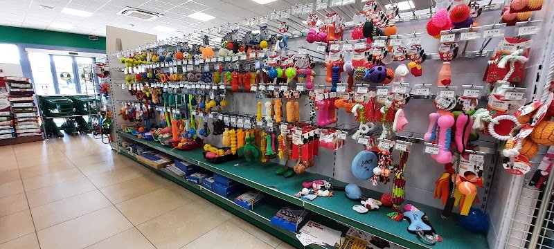 L'Isola dei Tesori - Foto 2