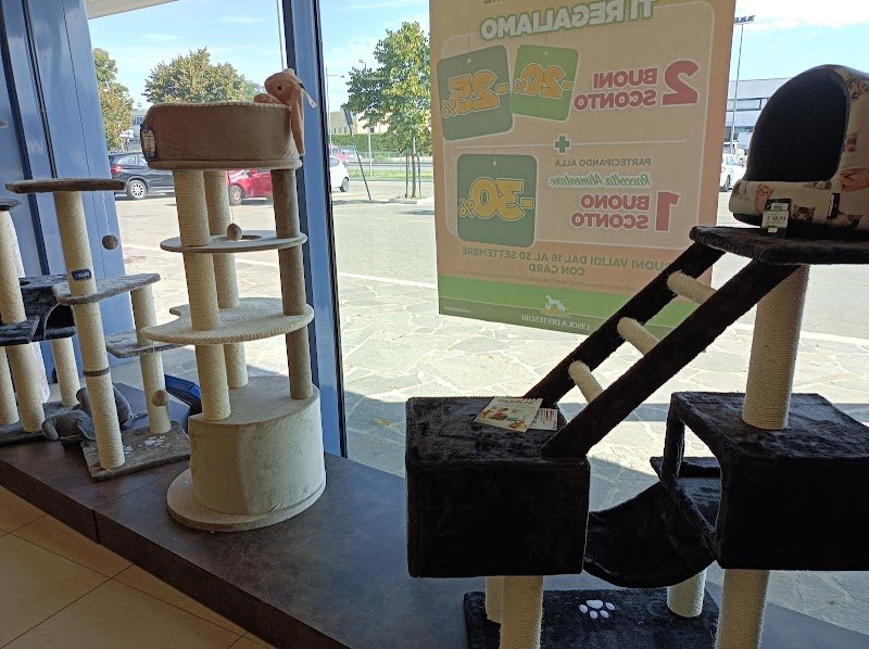 L'Isola dei Tesori - Foto 4