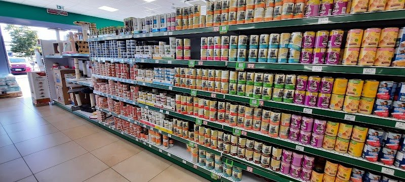 L'Isola dei Tesori - Foto 6