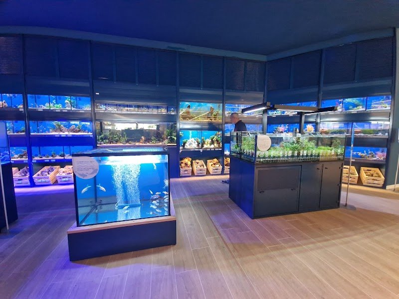 L'Isola dei Tesori - Foto 3