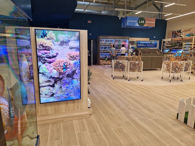 L'Isola dei Tesori - Foto 4