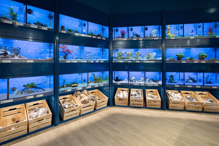 L'Isola dei Tesori - Foto 6