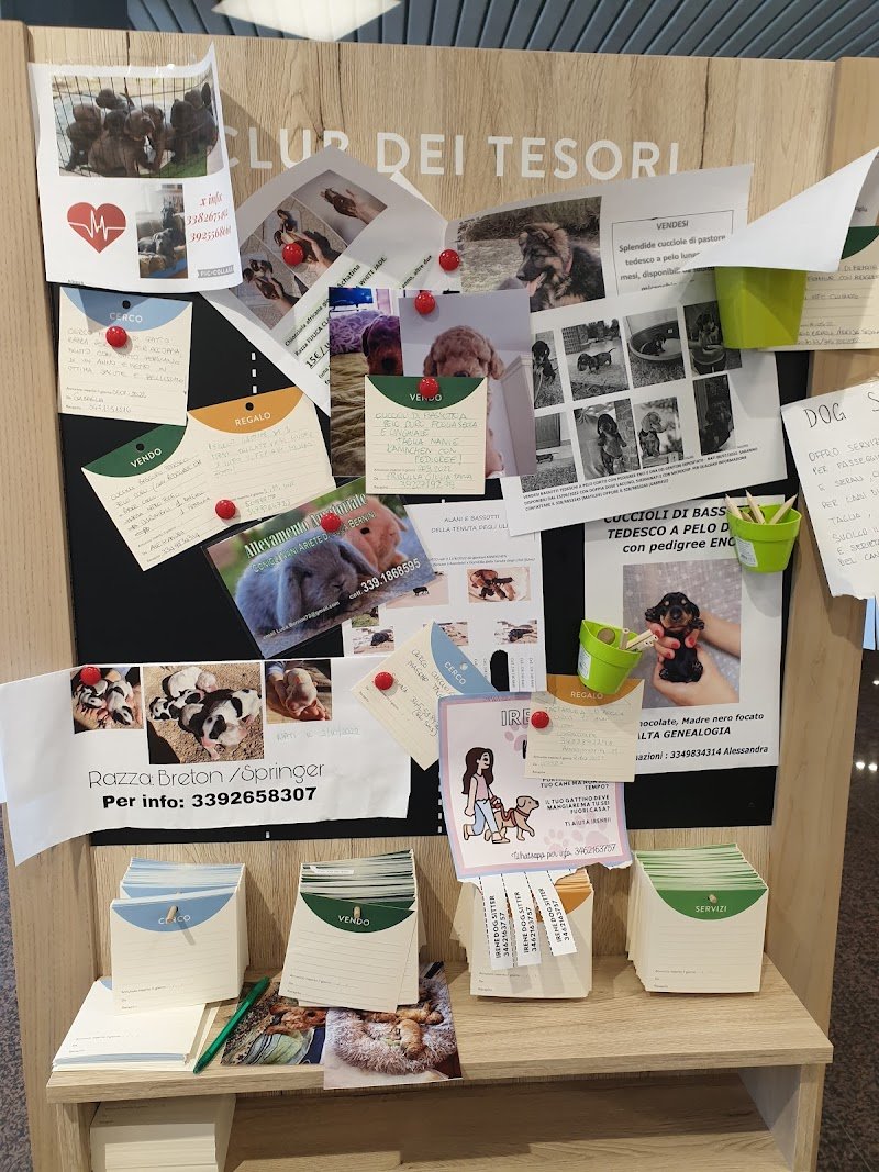 L'Isola dei Tesori - Foto 4