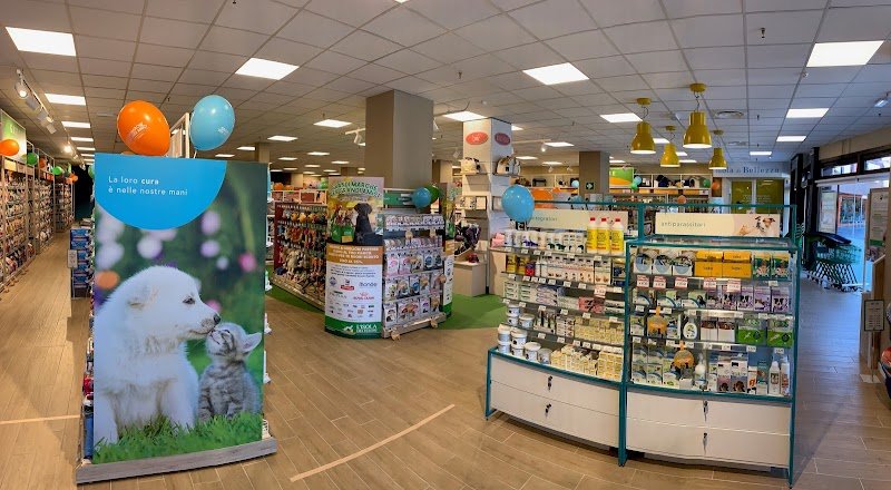 L'Isola dei Tesori - Foto 5