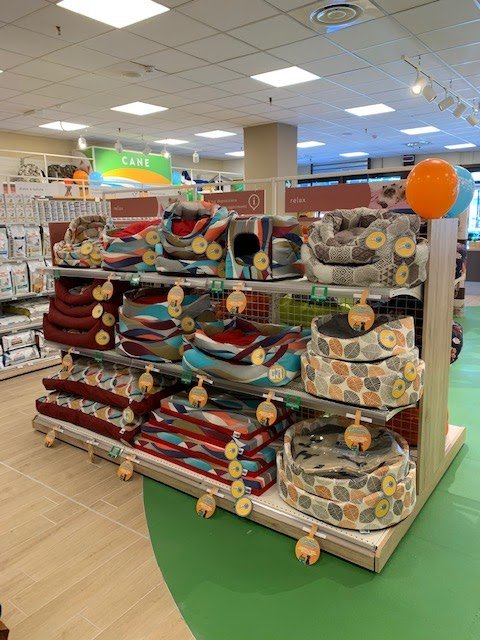 L'Isola dei Tesori - Foto 6