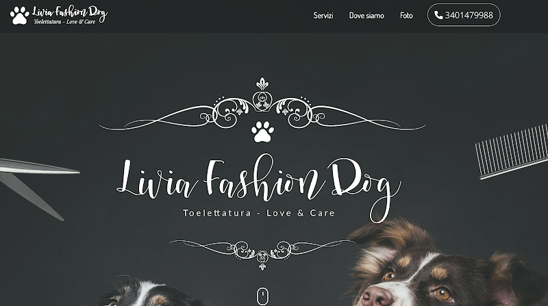 Livia Fashion Dog - Foto 1