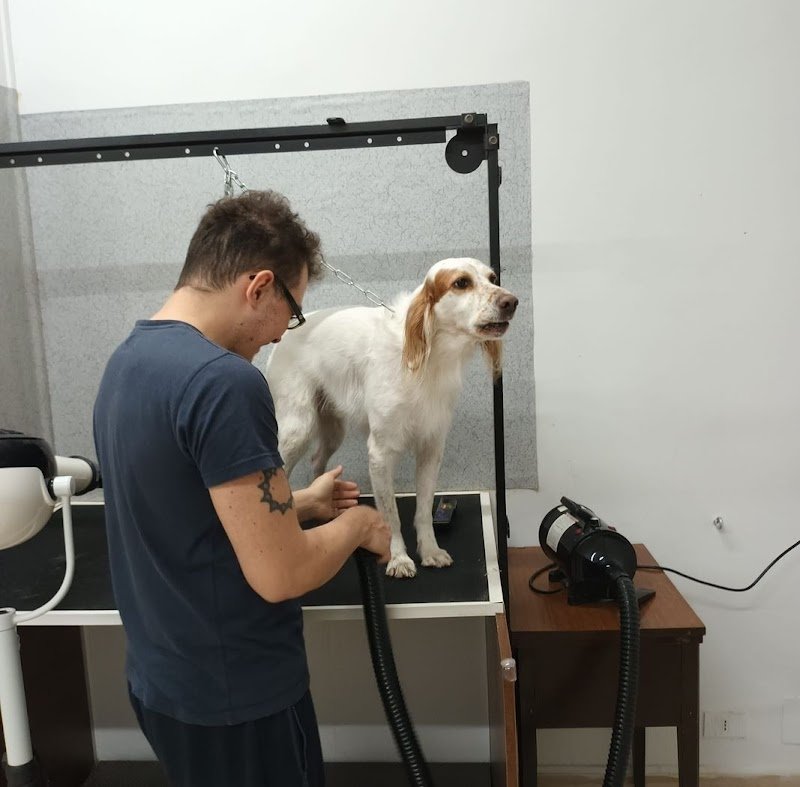 L'oasi dei cuccioli - Foto 1